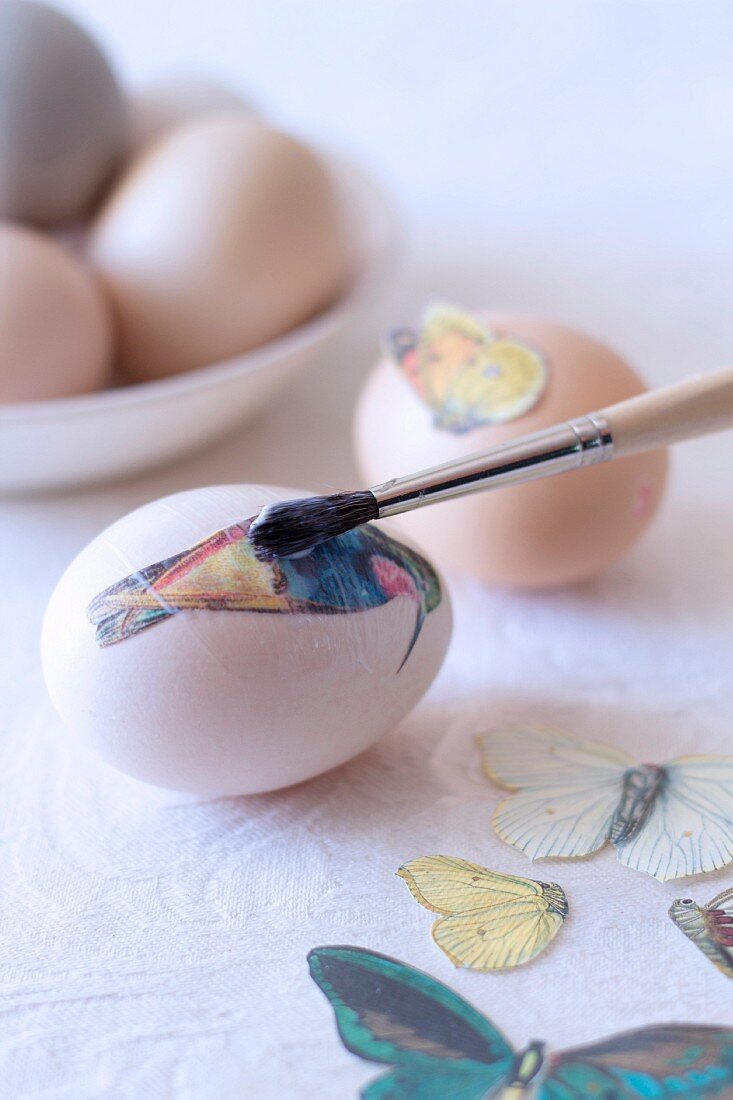 Eier verzieren - Vogel- und Schmetterlingsmotive auf Ei geklebt