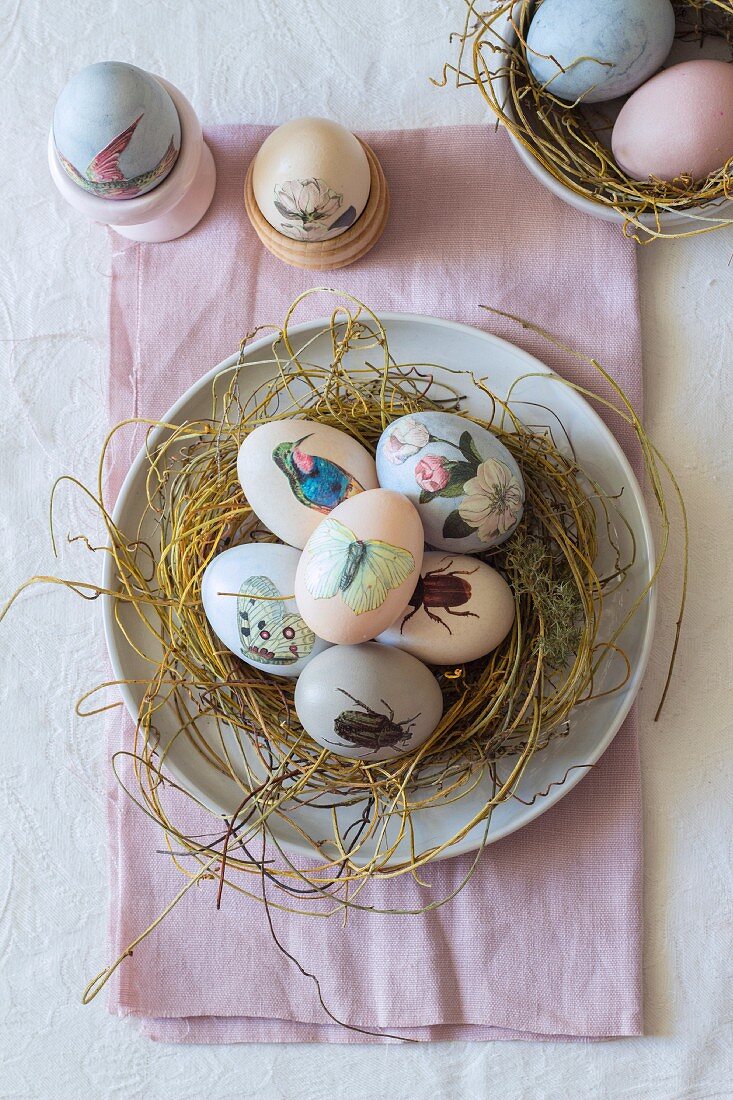 Osternest mit Tiermotiven dekorierten Eiern