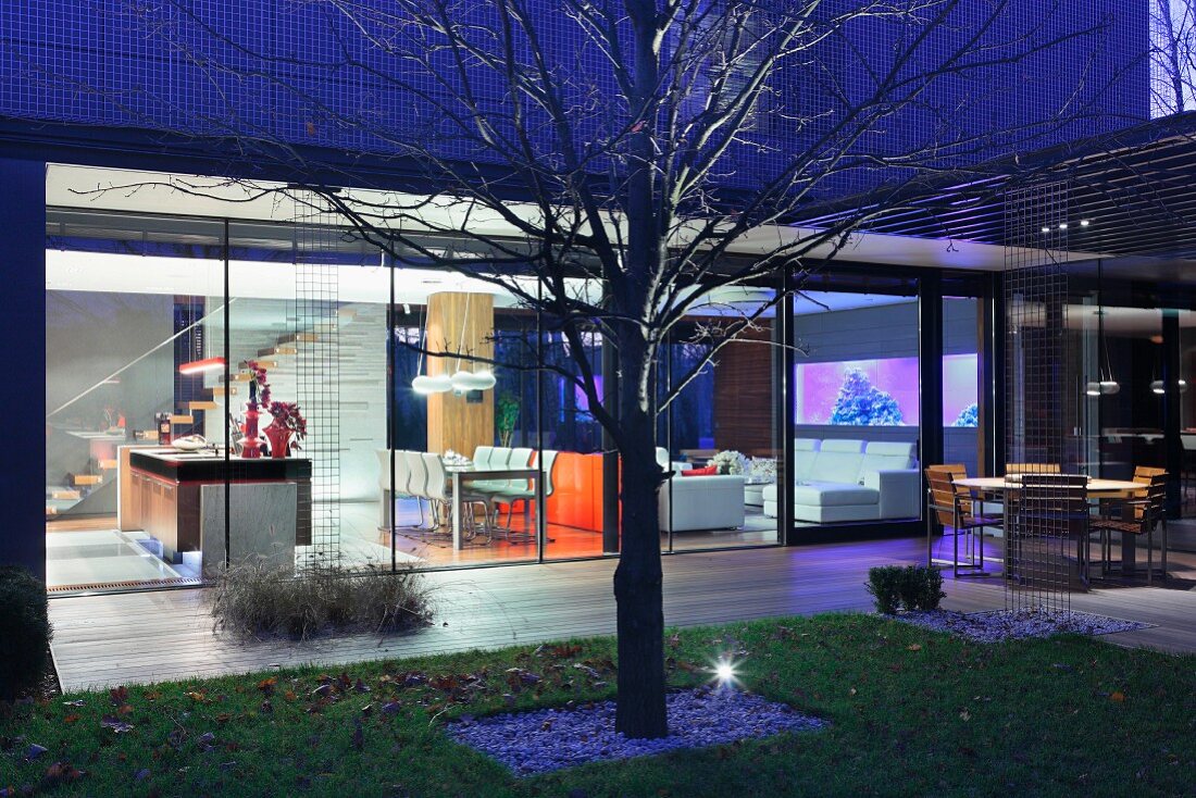Night atmosphere with spotlighted tree in courtyard of contemporary house; view into illuminated interior with various living, dining and kitchen areas