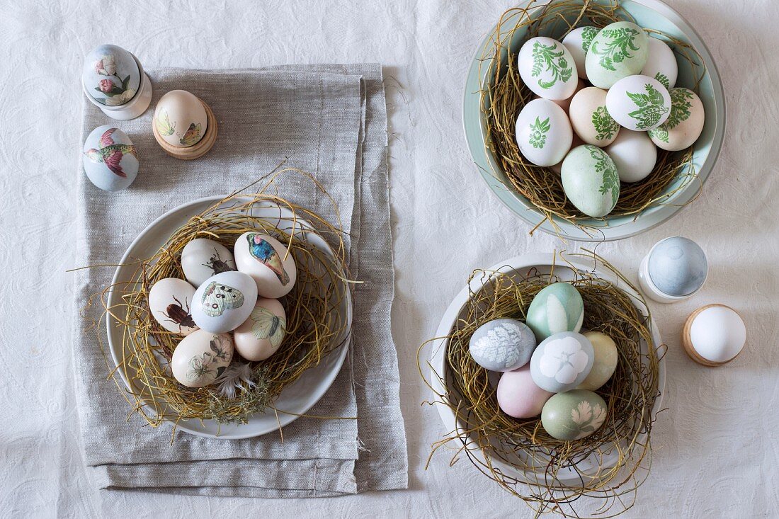Still-life arrangement of Easter nests and painted eggs in egg cups