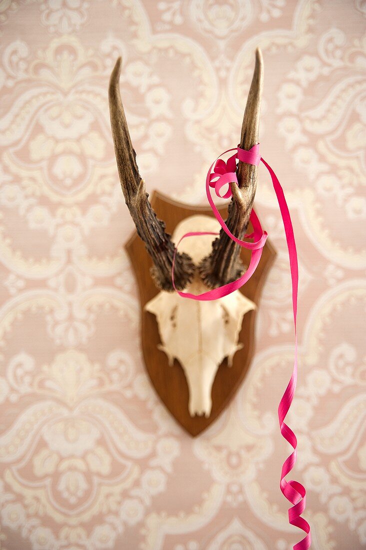 Antlers and a streamer as wall decoration