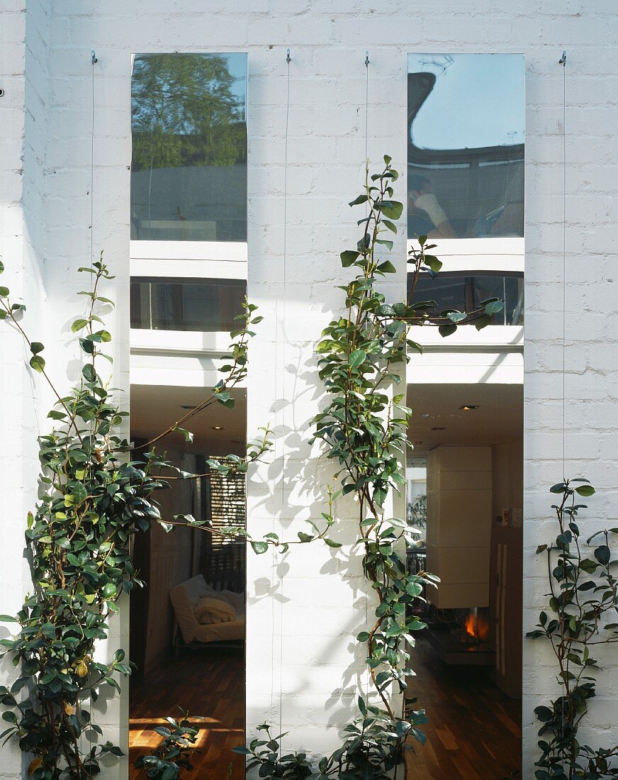White washed brick wall with climbing plants and view through narrow windows into a living room