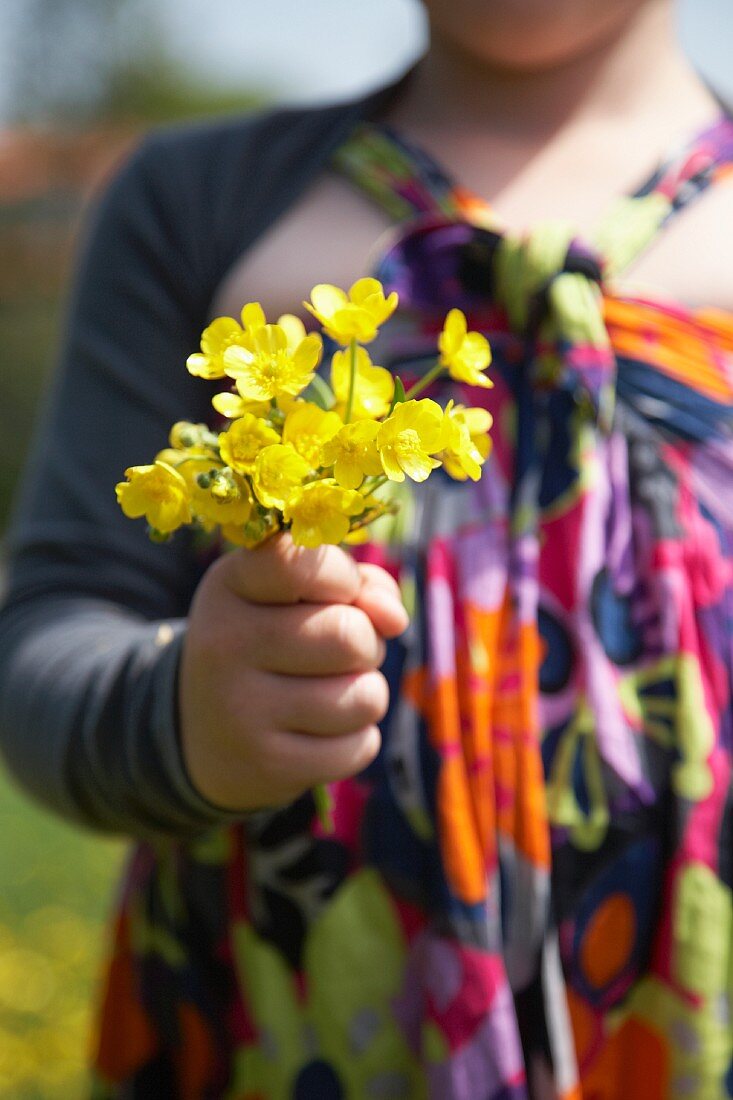 A girl holding a bunch of buttercups