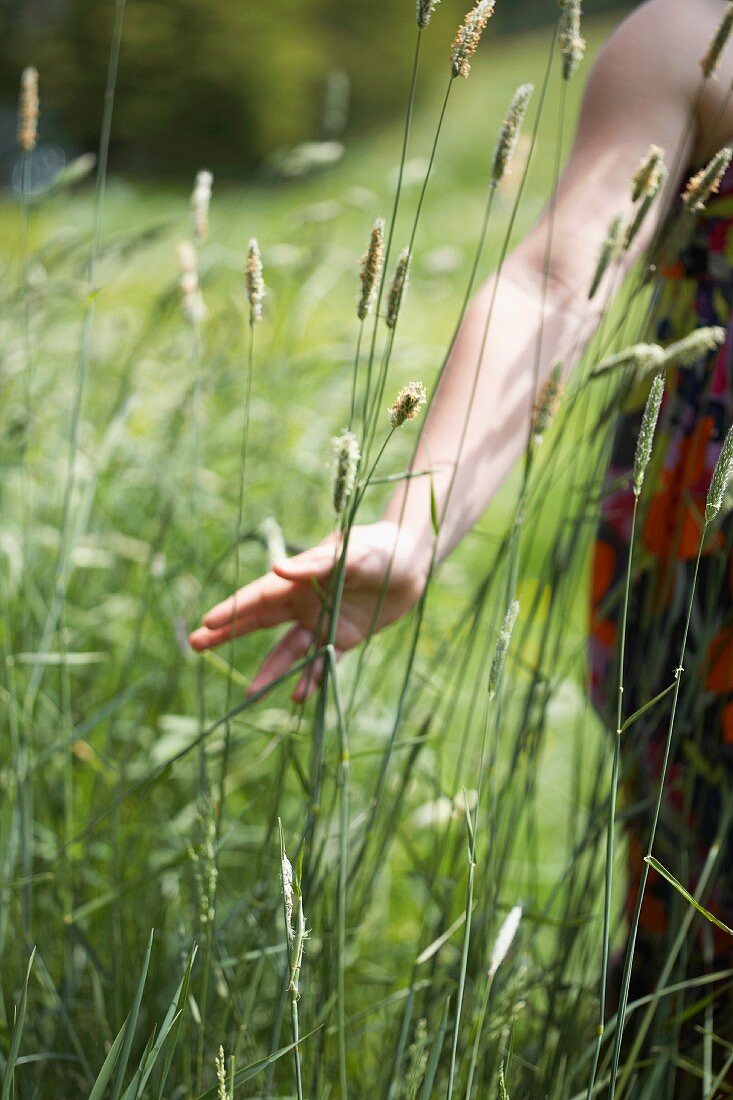 A girl in a field of long grass