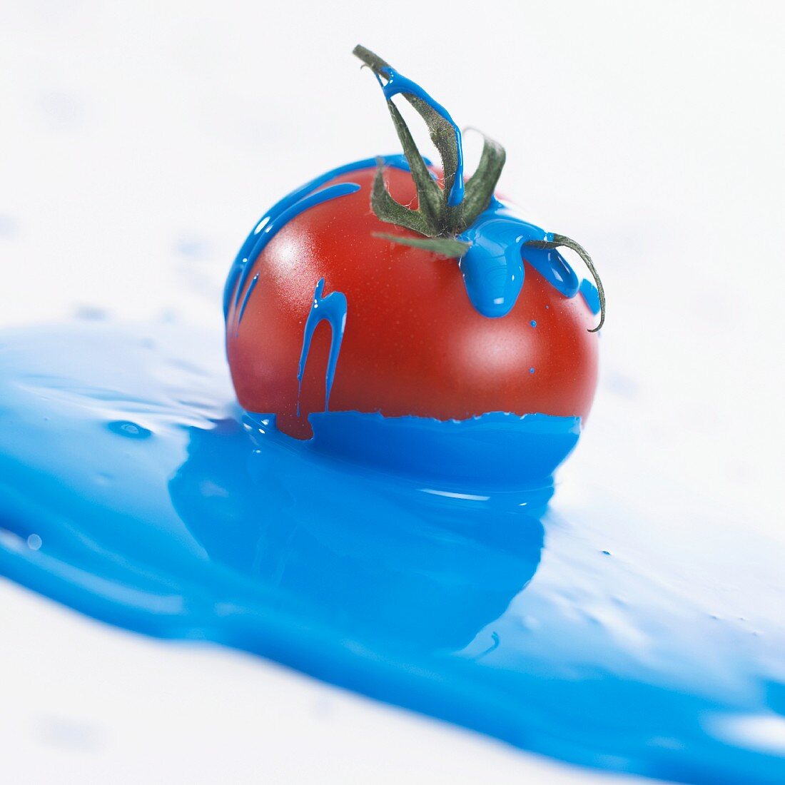 Tomate liegt in blauer Farbe