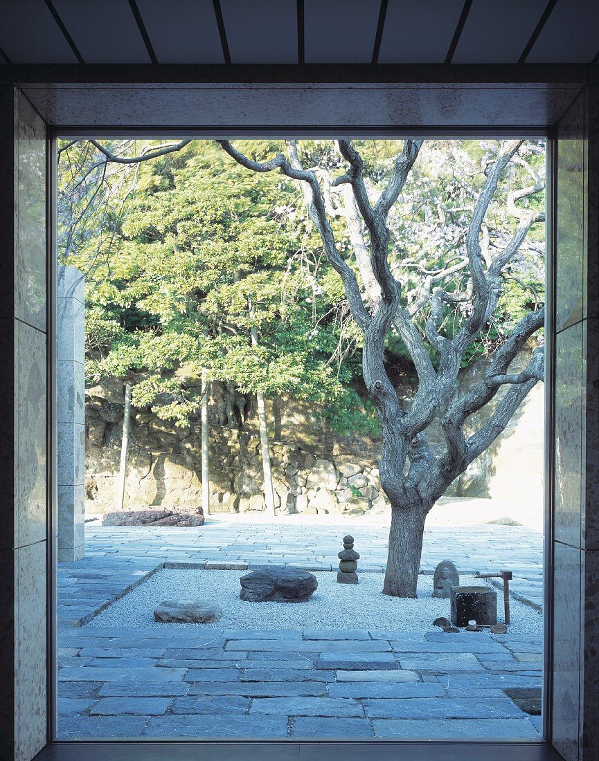 View through an open terrace door of a gnarled tree in a designed courtyard