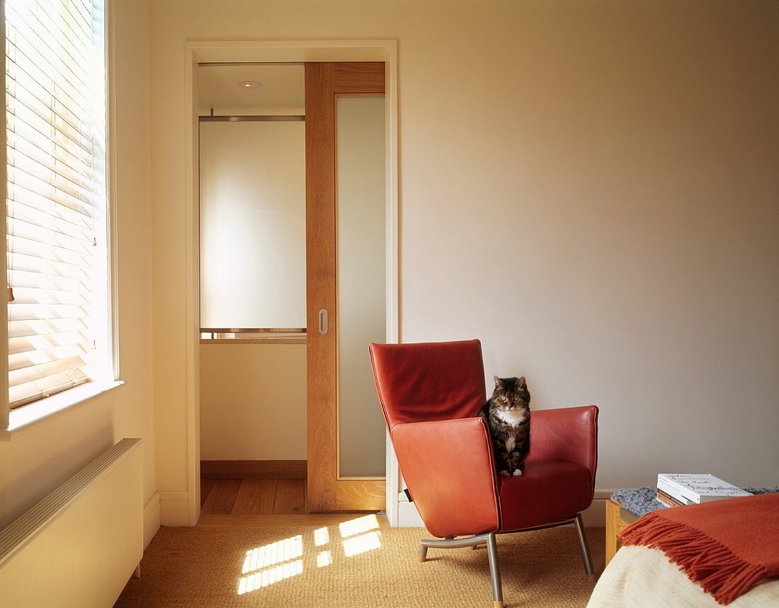 Cat on designer leather chair in bedroom in natural shades with sliding door leading to ensuite bathroom