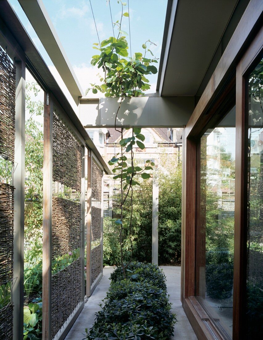 Pflanzzone zwischen Sonnenschutzelementen aus Geflecht und breiten Schiebetüren an englischem Wohnhaus