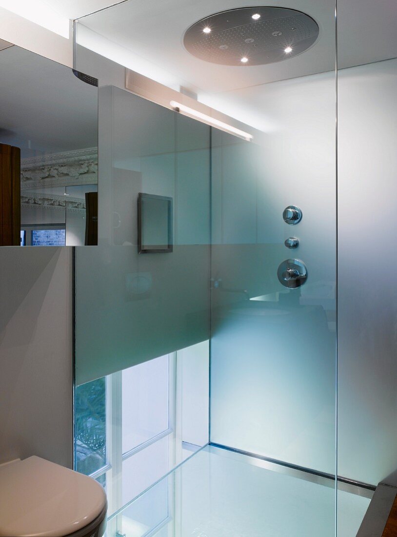 Contemporary bathroom with shower and glass partition