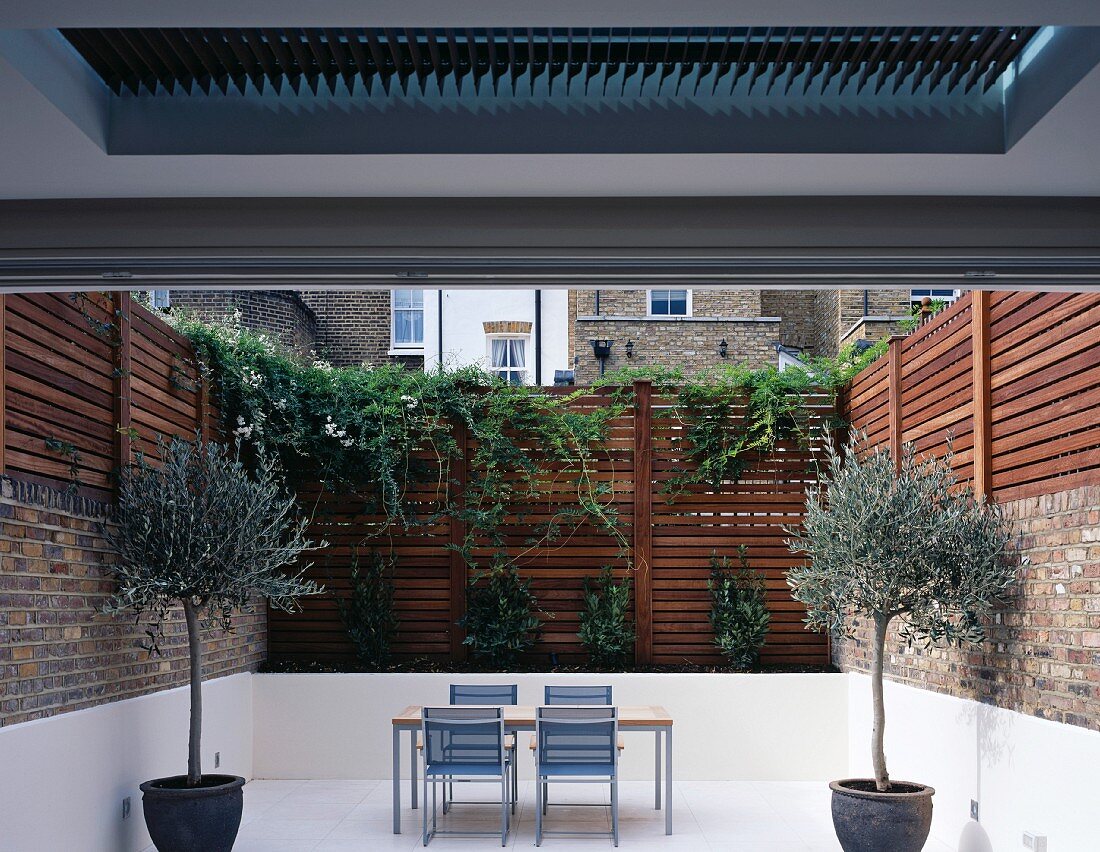 Griechische Atmosphäre auf städtischer Terrasse mit Olivenbäumchen und weißem Boden im Kontrast zu hohem, beranktem Holzzaun
