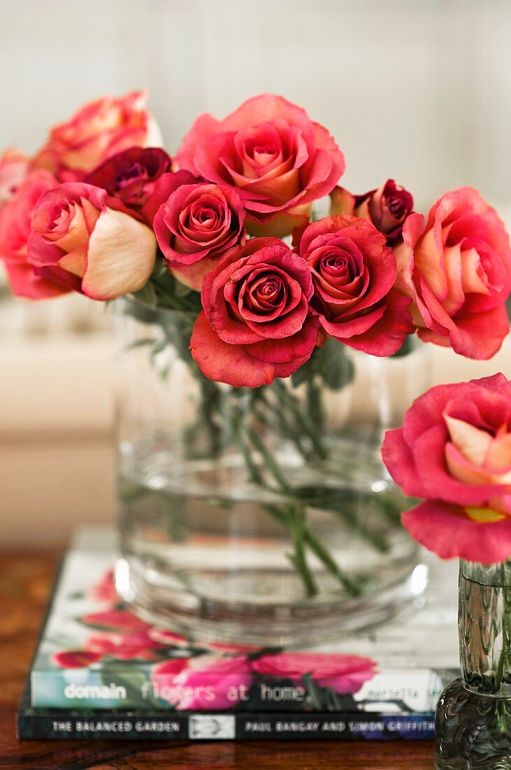 Orange roses in glass vase