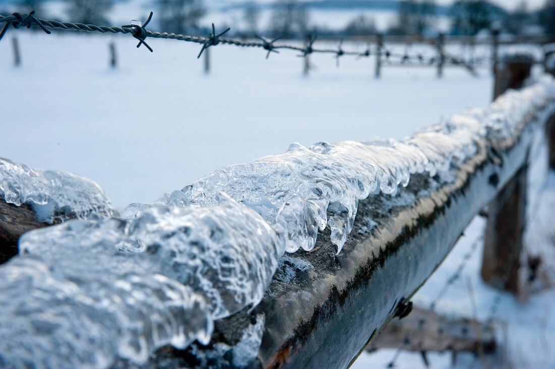 Icy wooden fence with barbed wire