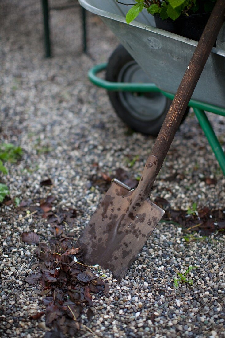A garden spade and a wheelbarrow