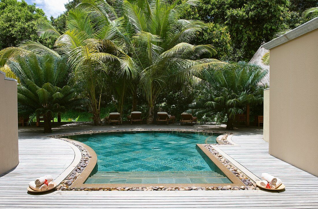 Schwimmbecken mit Holzterrasseneinfassung in tropischem Garten