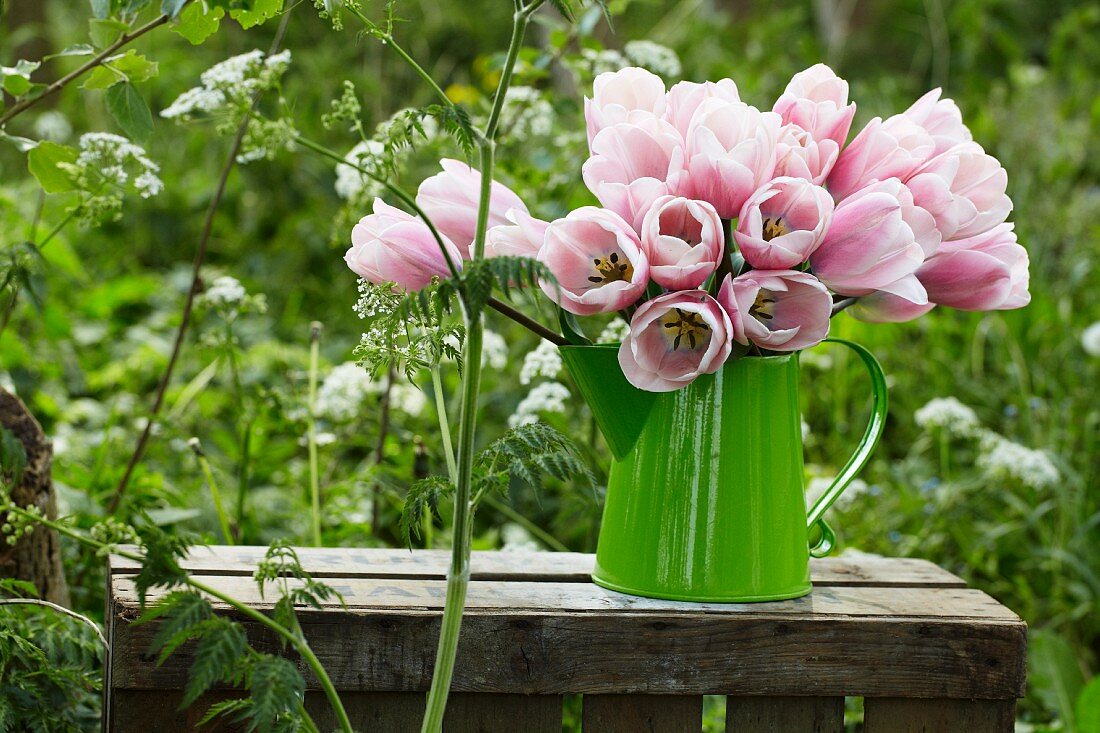 Sweet Love tulips in a watering can