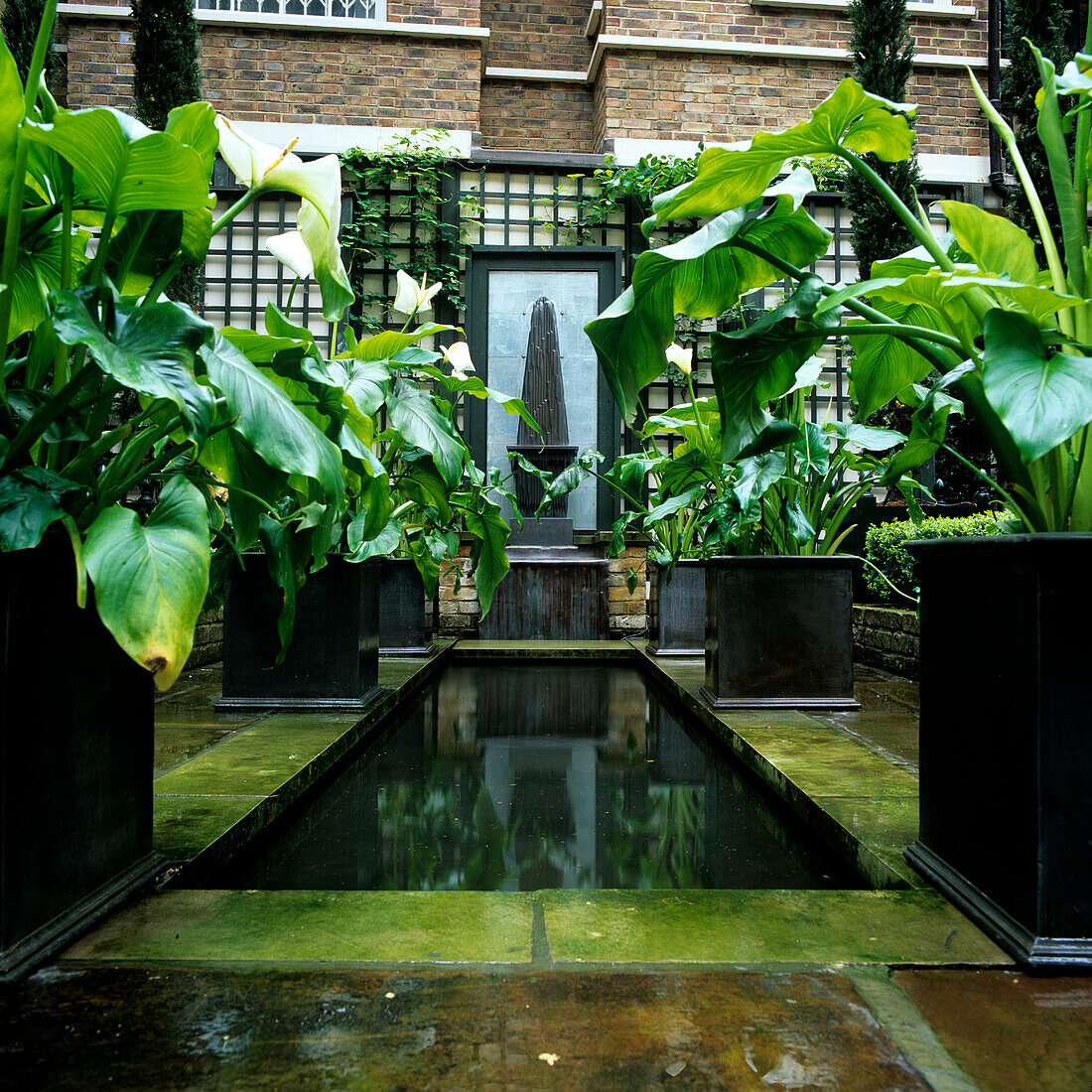 Water feature with plants in a modern courtyard garden