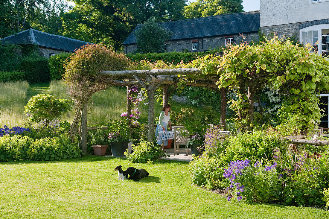 Covered pergola in green garden with flowers and dog