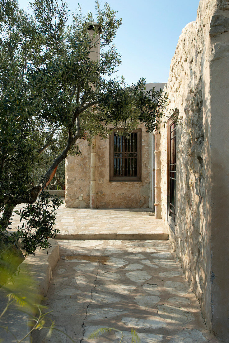 Natursteinhaus, Olivenbaum im Innenhof (Tunesien)