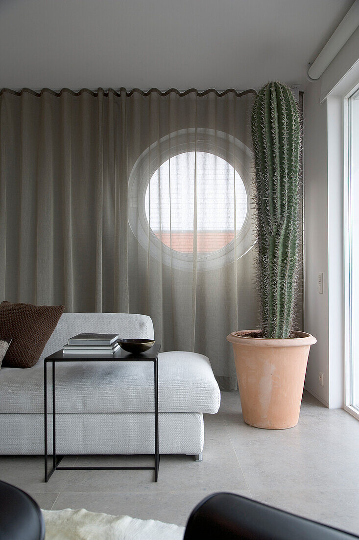 Large cactus in terracotta pot next to modern sofa and porthole window in the living room