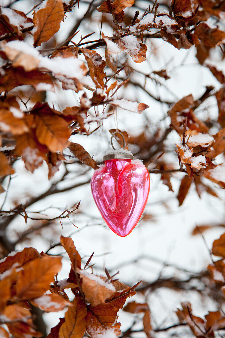 Pink heart-shaped Christmas tree decorations hanging in a snow-covered hedge