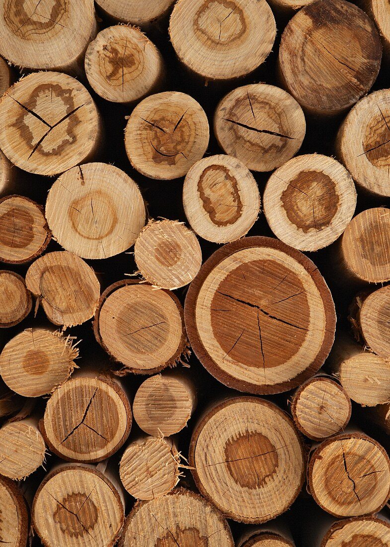 In Muster und Färbung variierende Stammquerschnitte ordentlich gestapelten Brennholzes