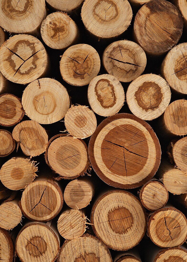 Neatly-stacked firewood with different patterns and colouring shown in cross sections of logs