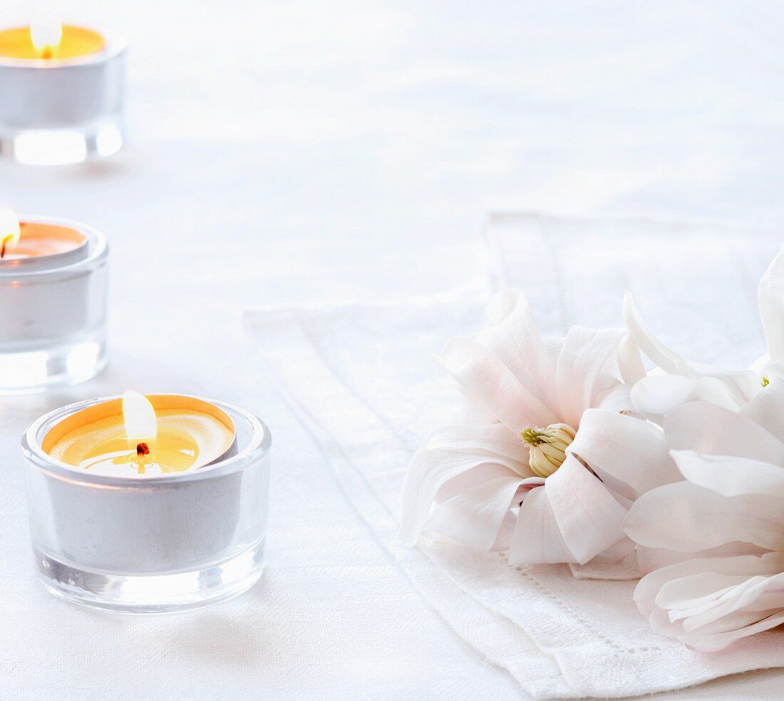 Pale Pink Magnolia Blossoms on White Napkins with Tea Lights