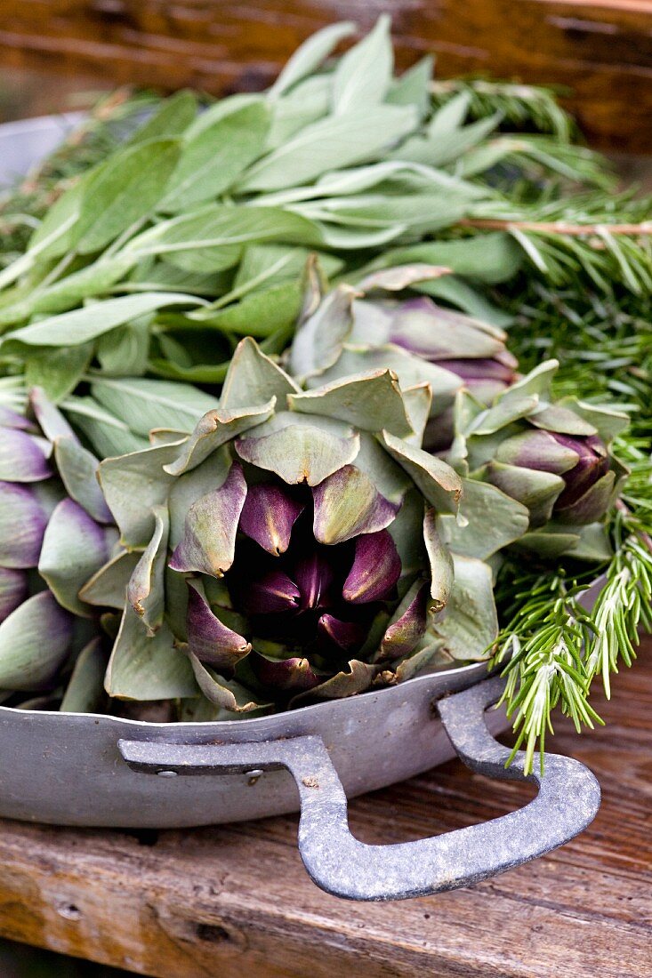 Artichokes, sage and rosemary in aluminium, baking dish on rustic garden table