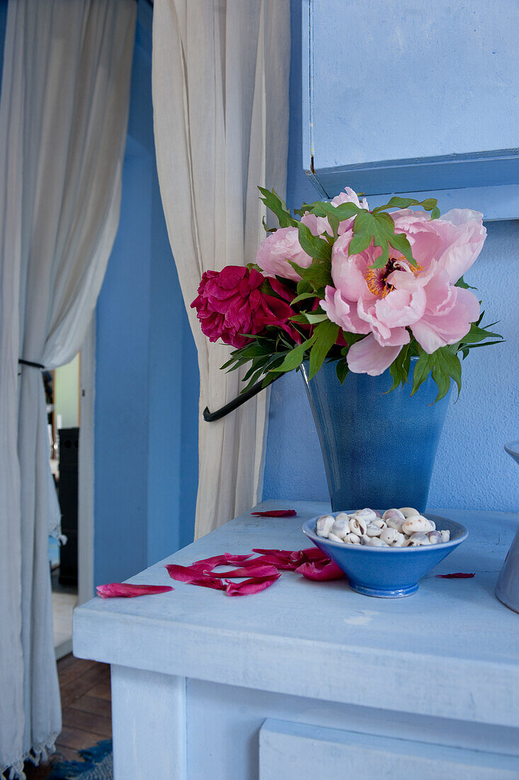 Pink and pink peonies (Paeonia) in a blue vase