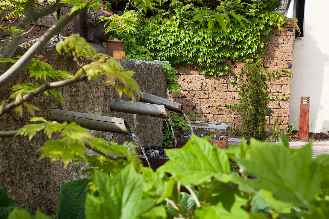 Brunnen mit fließendem Wasser und Pflanzen im Hinterhofgarten