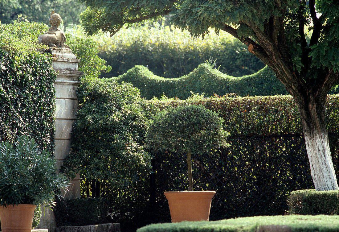 Geometrisch geschnittene Hecken und Büsche in Garten