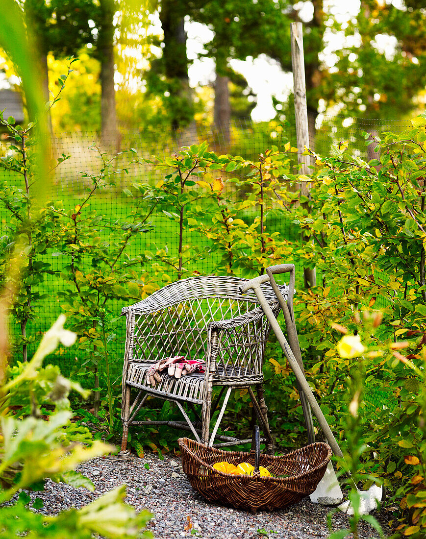 Rattansessel und Korb mit Herbstblättern im Garten bei Dämmerung