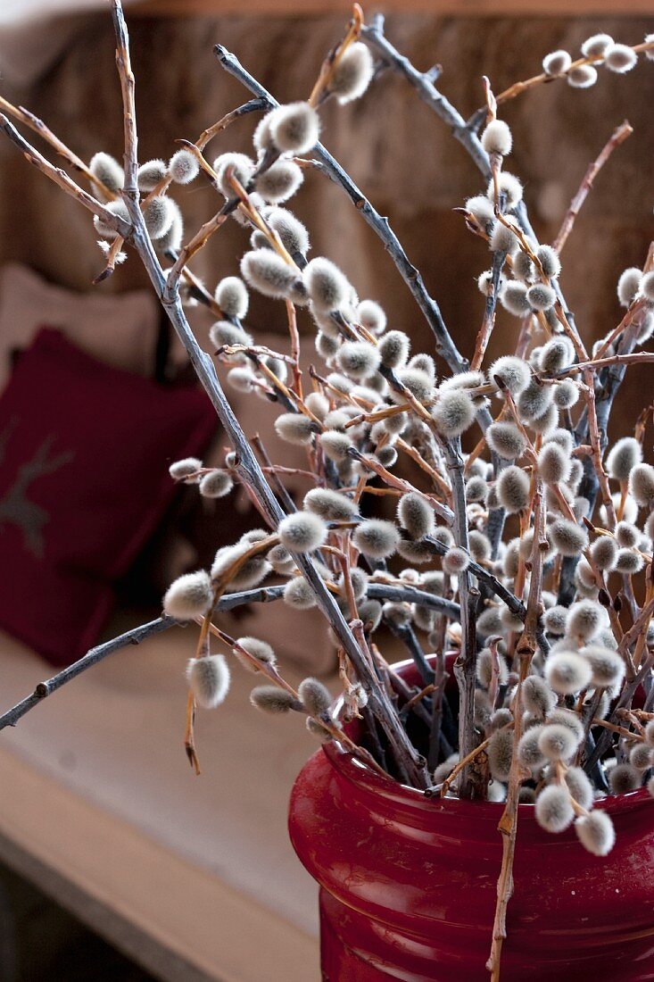 Twigs with catkins in jug