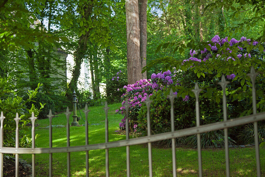 Gartenzaun mit Blick auf Gartenpflanzen und Bäume