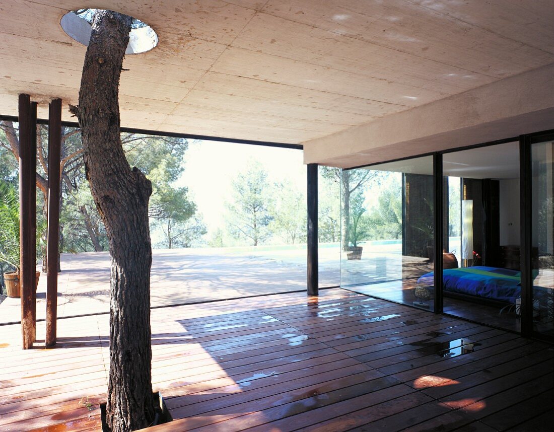 Contemporary, roofed veranda encompassing tree