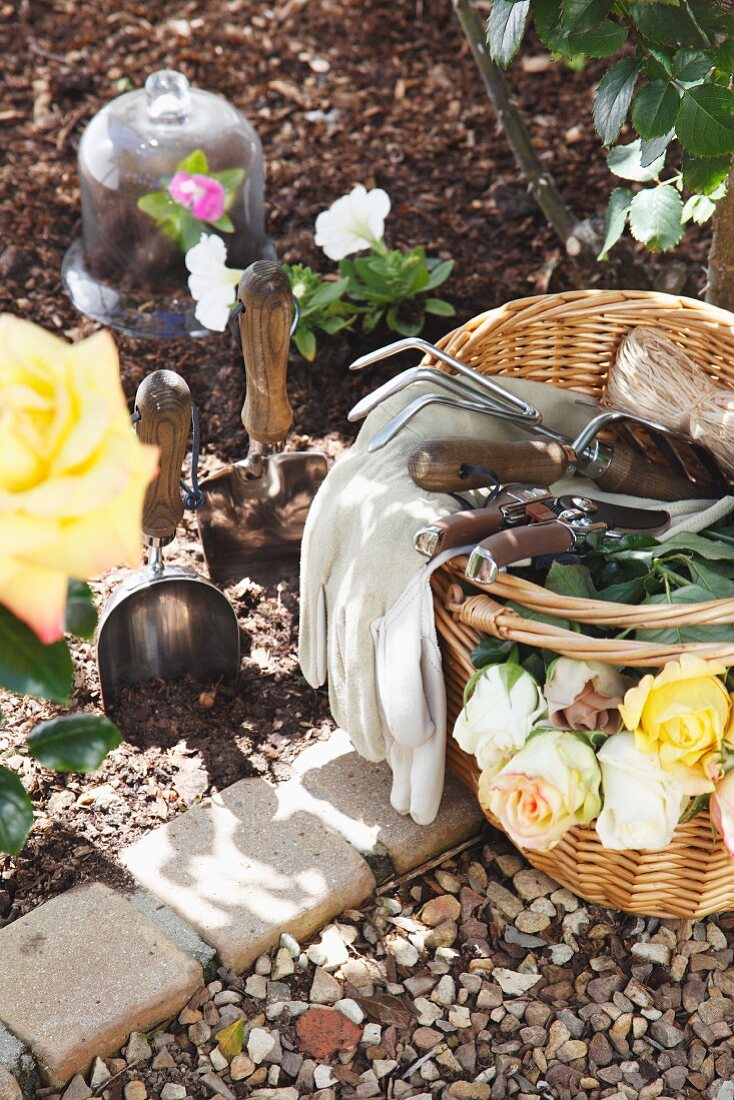 Korb mit Rosen und verschiedenen Gartenutensilien neben einem Blumenbeet