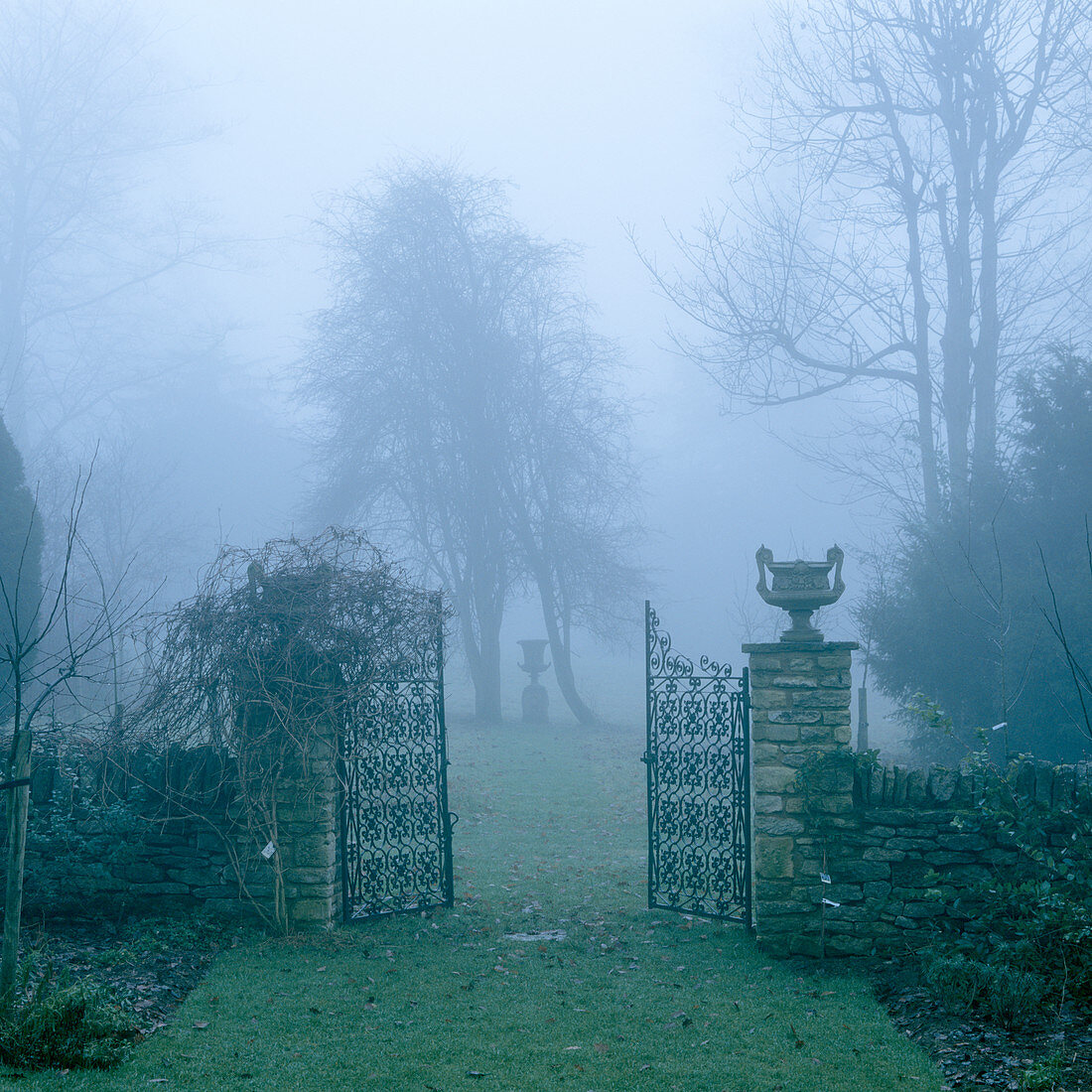 Misty atmosphere in park-like gardens with open wrought iron gate