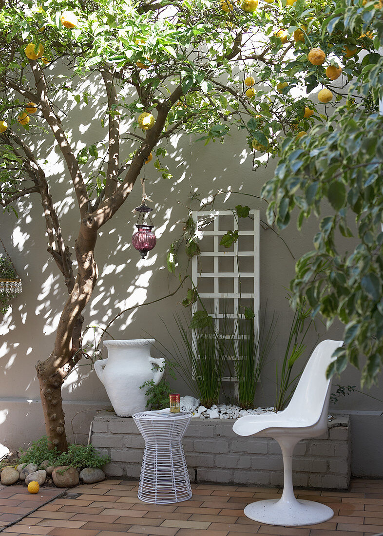 Weisser Schalenstuhl auf Terrasse und Zitronenbaum vor Haus