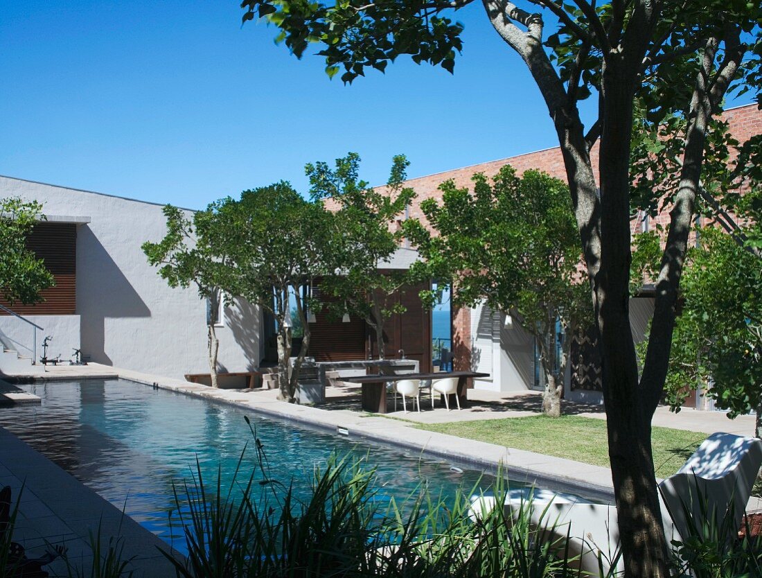 Courtyard with swimming pool