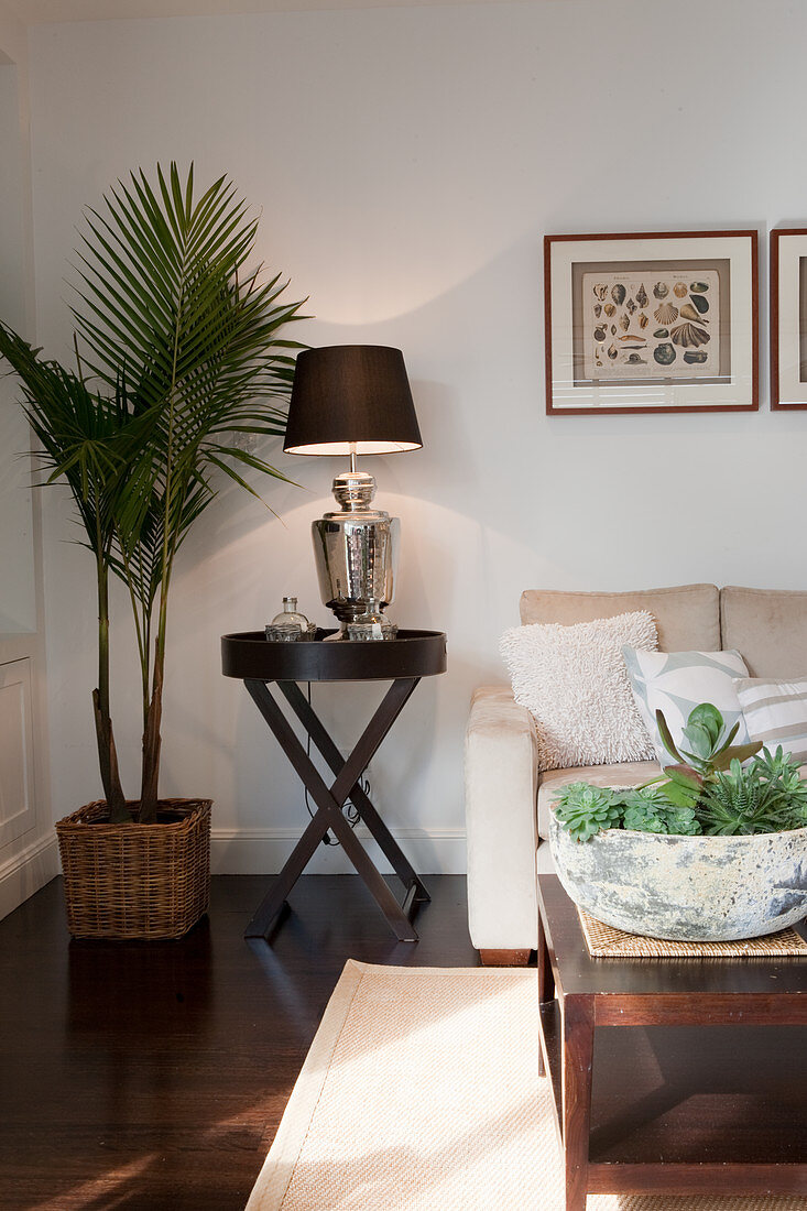 Moderne Wohnzimmerecke mit Palme im Topf neben Beistelltisch mit Tischlampe