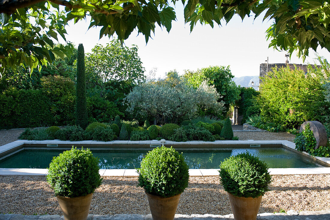 Symmetrically laid out garden with water basin and boxwood balls