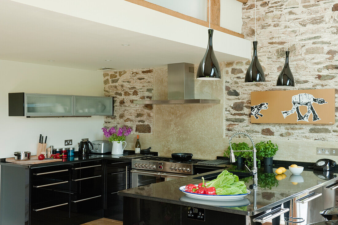 Küche mit Steinwand, Edelstahlgeräten und frischen Kräutern