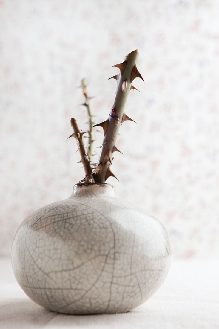 Keramikvase mit abgeschnittenen Rosenzweigen