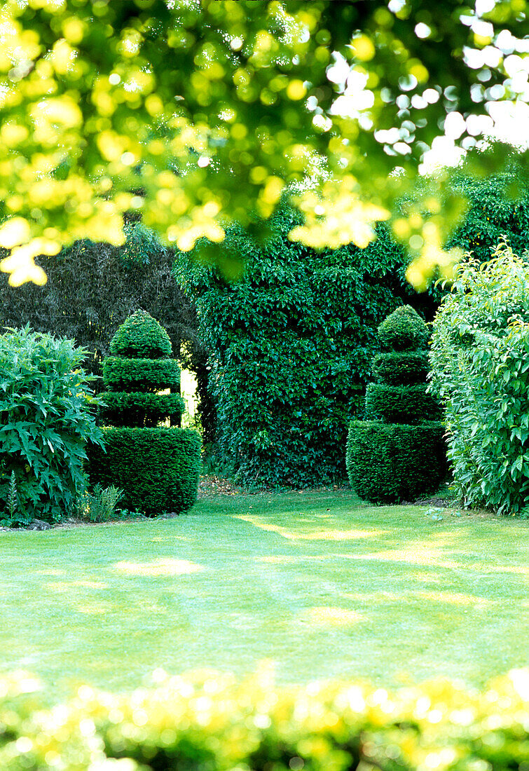 Carefully trimmed hedges and topiary in the garden