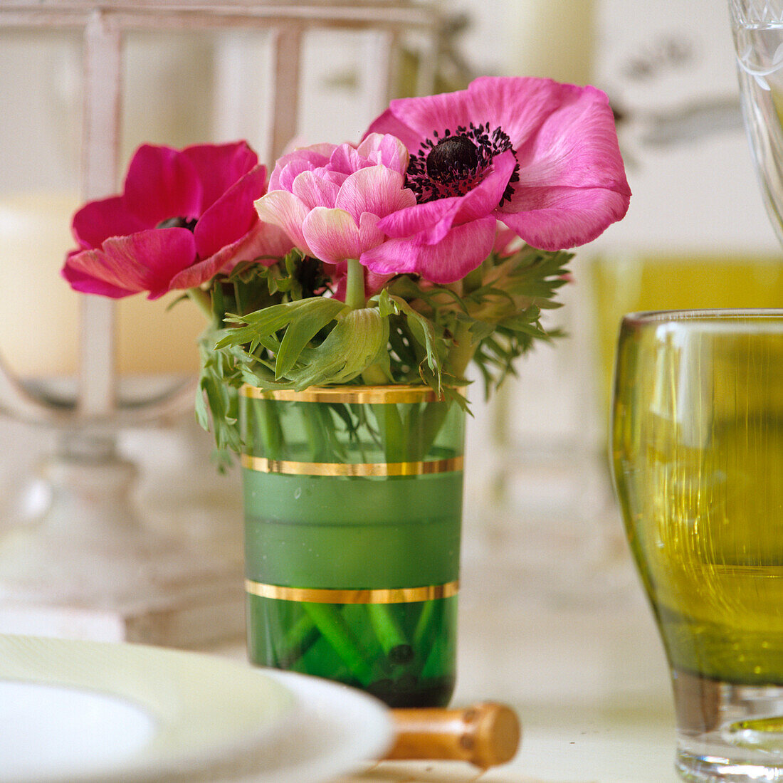 Rosa Anemonen (Anemone) in grün-gestreiftem Glas auf gedecktem Tisch