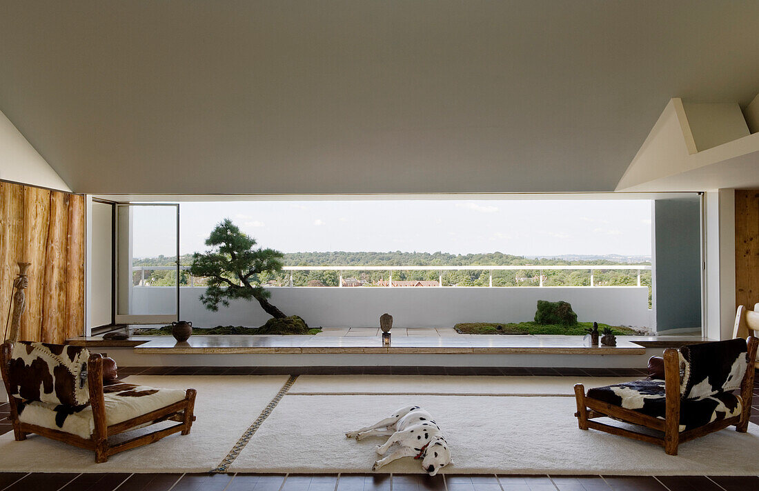 Minimalist living room with large panoramic window, dog and bonsai tree on balcony