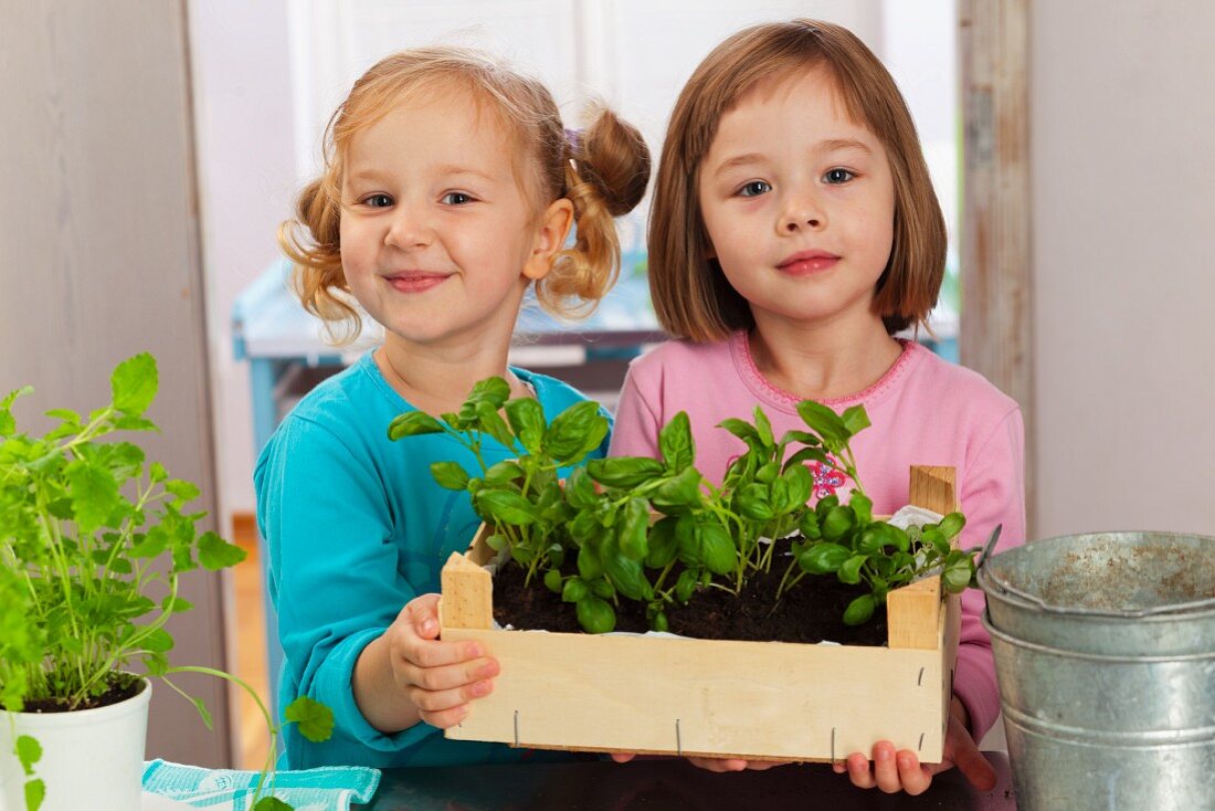 Zwei Mädchen zeigen Kiste mit eingepflanzten Basilikumpflanzen