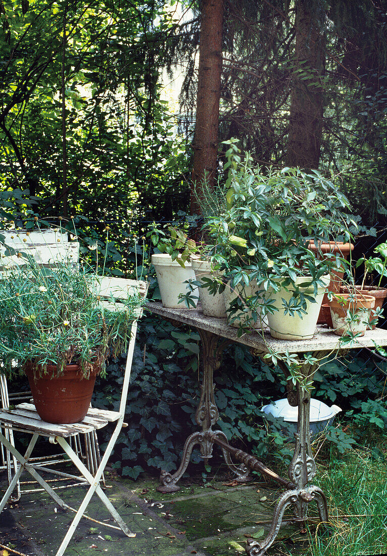 Gartentisch mit Topfpflanzen im Schatten