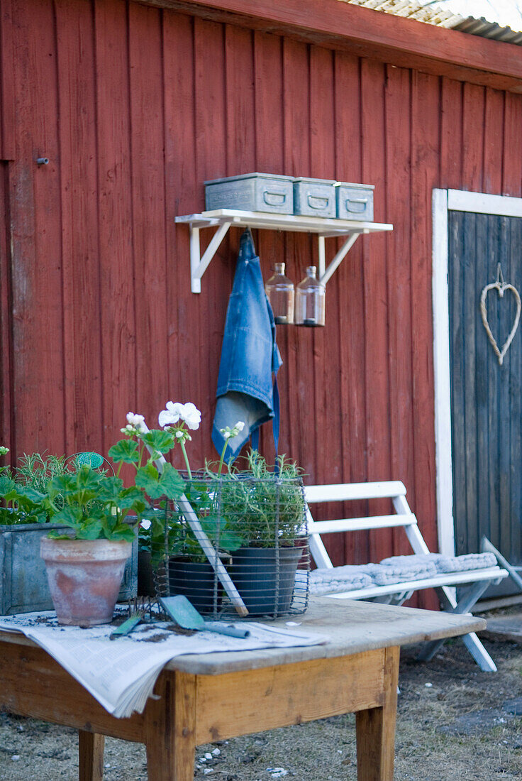 Tisch mit Pflanzen vor roter Holzhütte im Garten