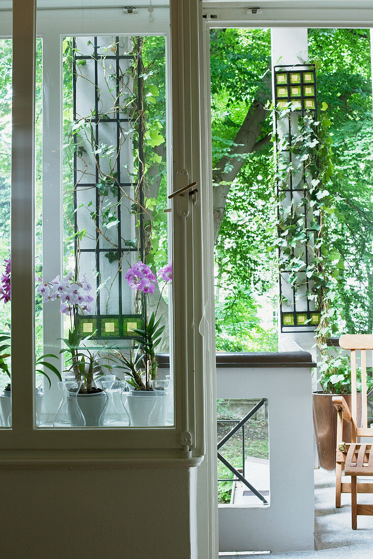 Blick durch Fenster auf Orchideentöpfe auf Fensterbank und in den Garten
